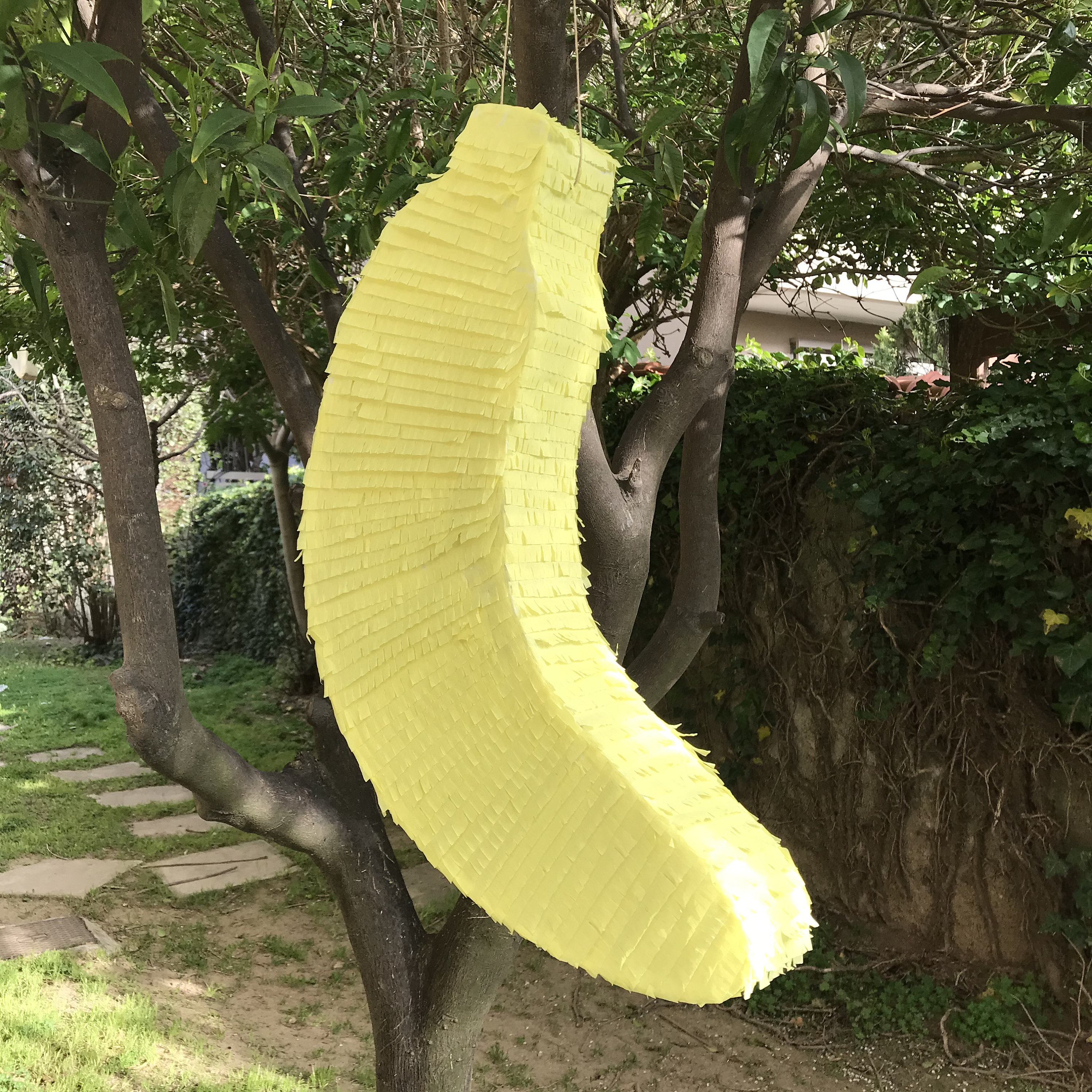 Banana Pinata Banana Party Decoration - Etsy
