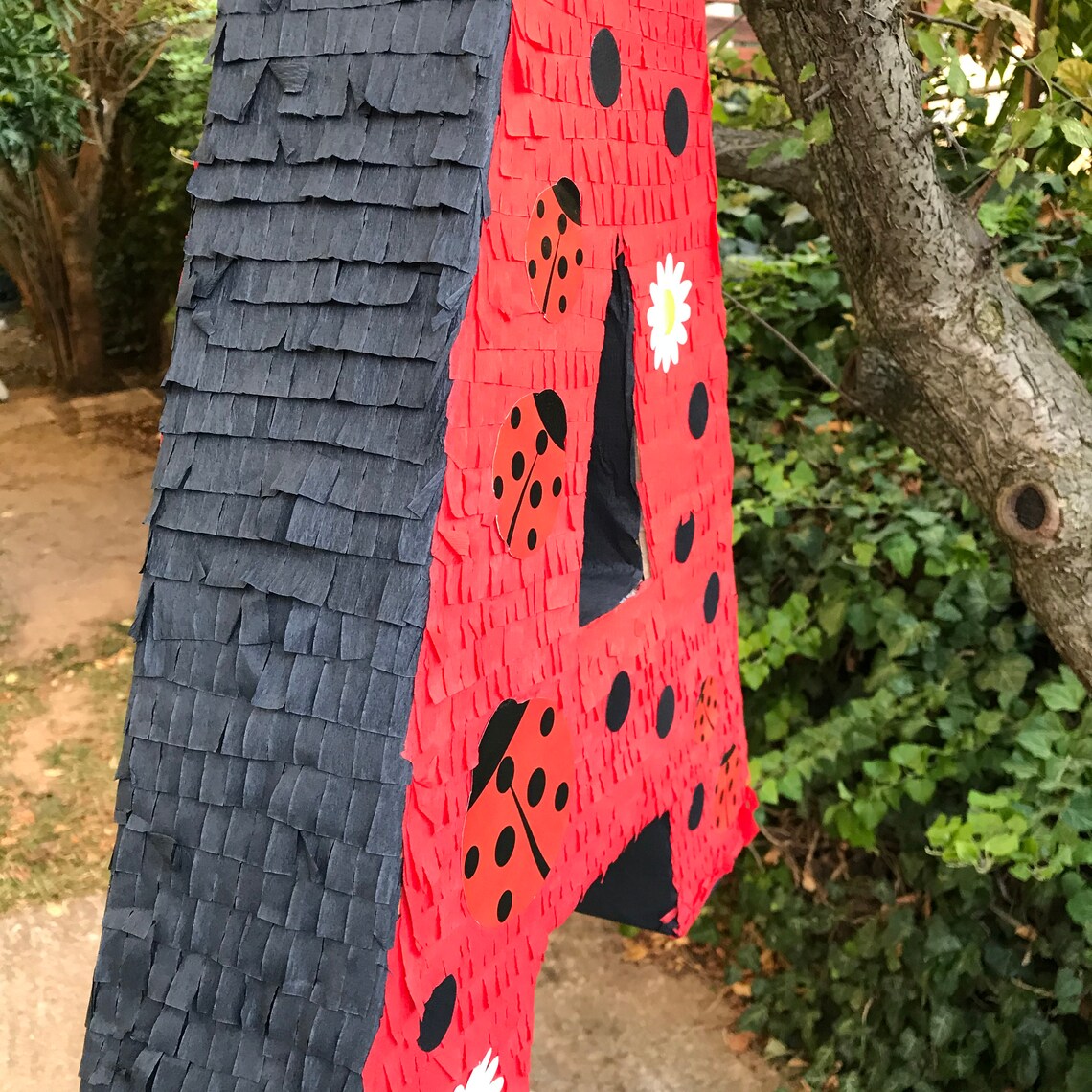 Letter Pinata Letter A Pinata Ladybug Letter Pinata Spring Etsy