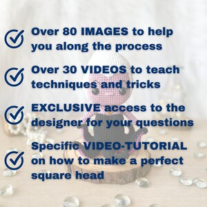 May include: A crochet amigurumi pattern with over 80 images and 30 videos to help you create a character. The pattern includes exclusive access to the designer for questions and a video tutorial on how to make a perfect square head.