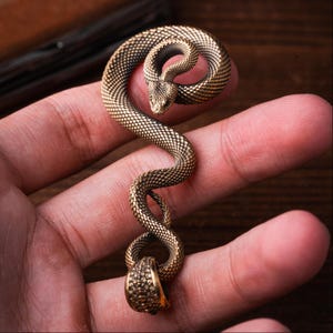 Puede incluir: Un colgante de serpiente en tono bronce metálico con un patrón de escamas texturizado y muy detallado en todo el cuerpo. La serpiente está enroscada en forma de S con la cabeza colocada en la parte superior y una anilla circular en la base.