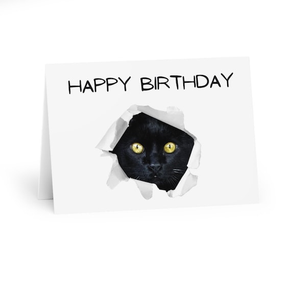 Anniversaire chat images libres de droit, photos de Anniversaire chat