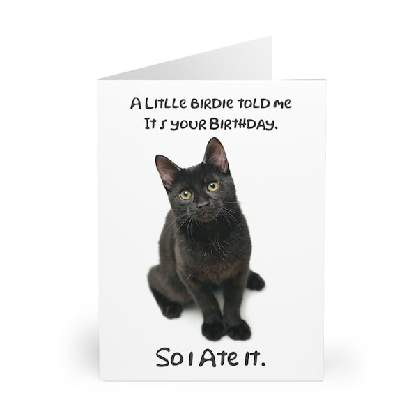 A little birdie told me it's your birthday; black cat birthday card