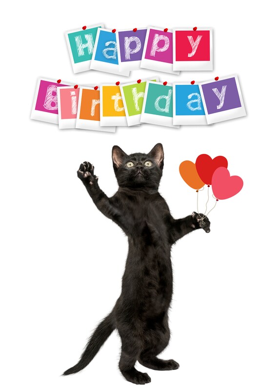 Carte De Joyeux Anniversaire Avec Chats Carte Danniversaire Etsy France