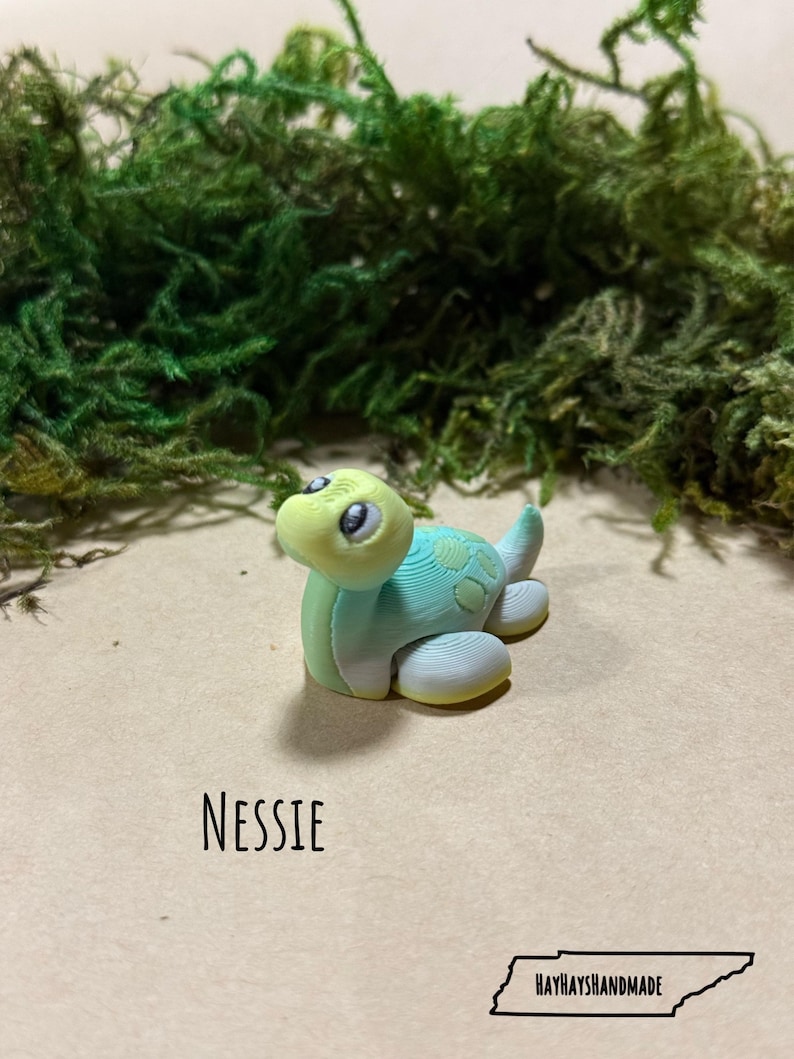 May include: A handmade polymer clay sculpture of a turtle, in shades of blue, green, and yellow. The word "NESSIE" is written in black script below the turtle. The HayHaysHandmade logo is at the bottom.