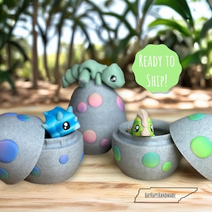 Dinosaur with Egg Container Flexi Fidgets | Office Decor | Gift for Kids | Dinosaur Fidget | Gift for Valentine’s Day |