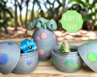 Dinosaur with Egg Container Flexi Fidgets | Office Decor | Gift for Kids | Dinosaur Fidget | Gift for Valentine’s Day |