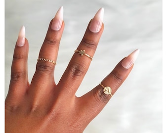 Rose Set- Medium Stiletto Ombre French Tip -  Gradient French Stick on Nails