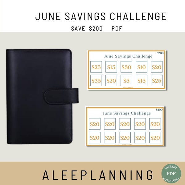 Savings Challenge June Summer Savings Challenge Monthly Challenge  200 Savings Challenge June Challenge A6 Cash Envelope Insert Mini Savings