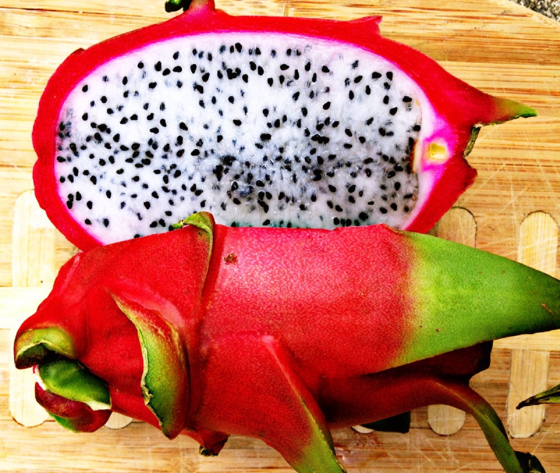 Dragon Fruit Dehydrated Pitaya weight loss dessert Healthy Etsy