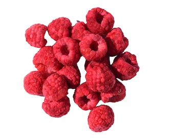 Freeze Dried  Raspberry  - Natural/ Rasberry /  Hikers Delight,  Dessert, Self Care