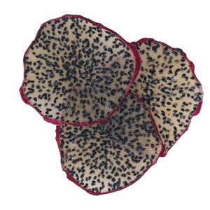 Dragon Fruit Dehydrated Pitaya