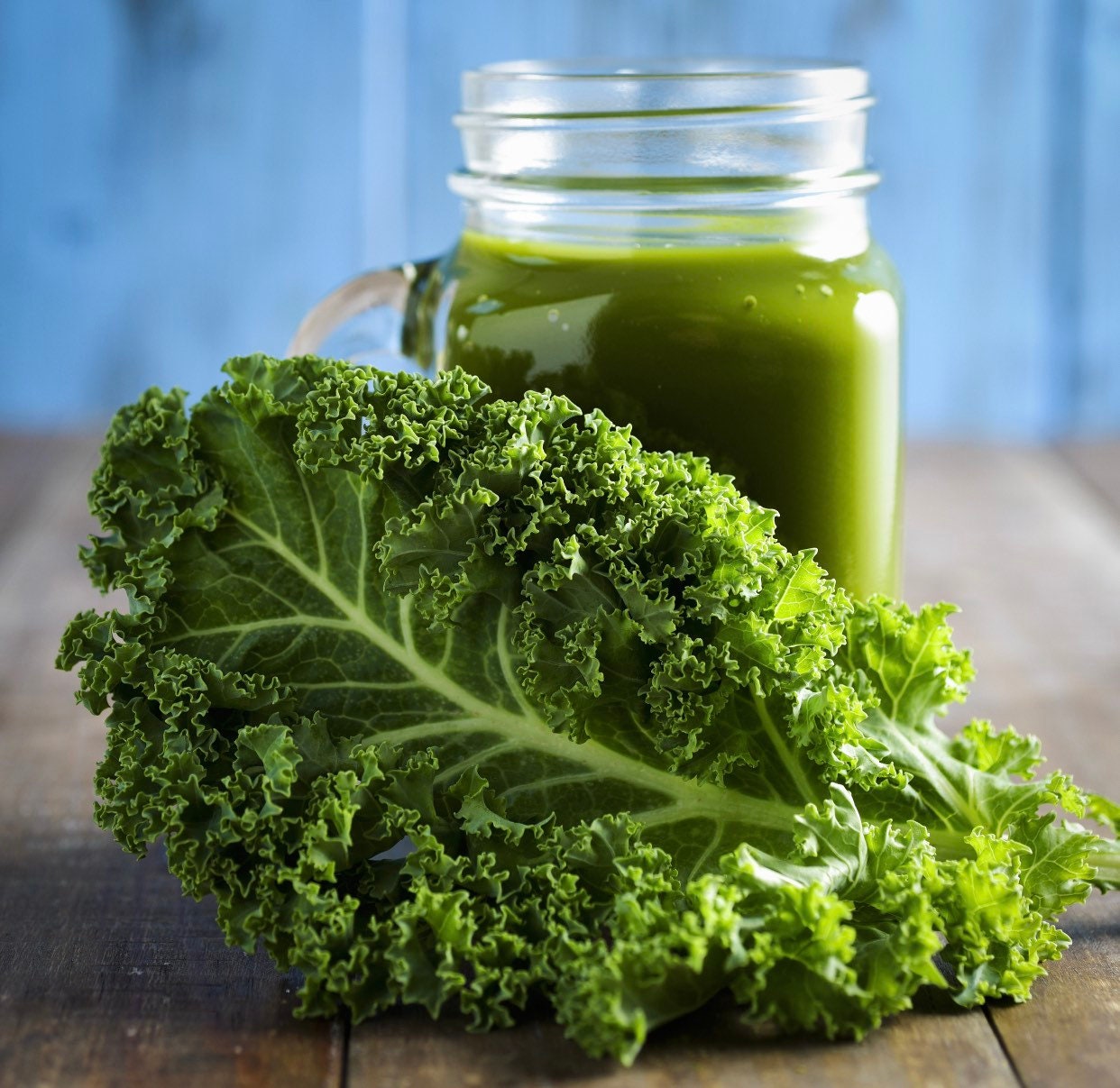 Kale Organic Kale Powder Superfood Fiber Rich Gluten Etsy