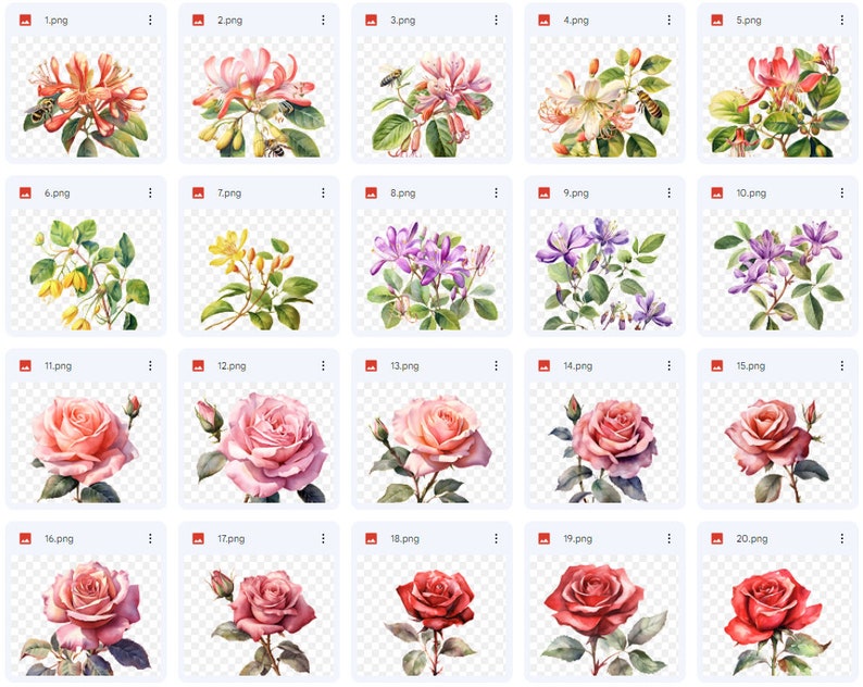 June Flowers of the Month Clipart, Roses and Honeysuckle June Summer