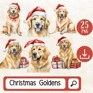 Conjunto de clipart aquarela Natal Golden Retriever. 25 Adorável Golden Retriever PNG no Natal. Download digital de Golden Retrievers