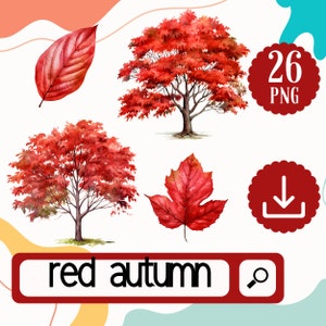 Autunno foglie rosse e alberi Clipart - 26 autunno rosso e albero PNG, album di ritagli, creazione di carta, creazione di carte, diario spazzatura, pacchetto di download digitale