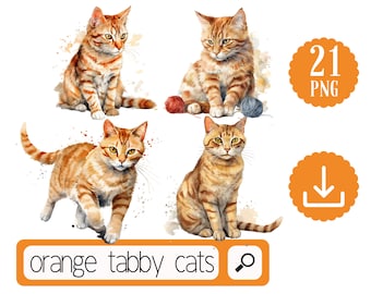 Orange Tabby Cat Clipart Bundle. Orange Watercolor Cat PNG Digital Download.