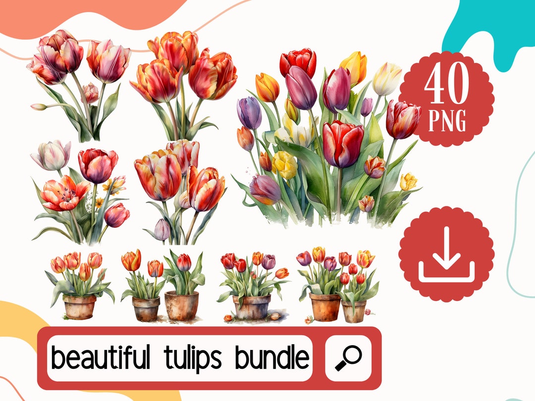 Tulip Clipart PNG Bundle. Watercolor Tulips, Floral Clipart Digital ...