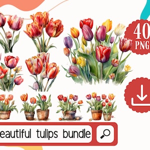 Tulpe Clipart PNG Bundle. Aquarell Tulpen, Blumen Clipart digitaler Download. Hochzeit Blumen, Collage Blumen, Gartenarbeit Clipart