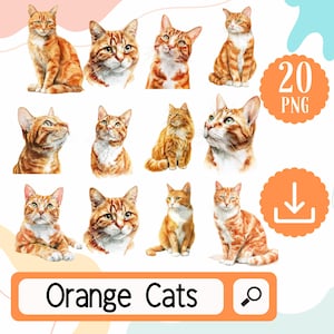 Könnte beinhalten: Eine Sammlung von Aquarellillustrationen von orangefarbenen Tabby-Katzen in verschiedenen Posen. Die Katzen haben orange-weißes Fell mit detaillierten Gesichtszügen. Das Bild enthält den Text "Orange Cats" in einem rechteckigen Feld.