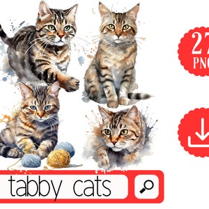 Pacchetto di clipart dell'acquerello del gatto soriano. Download digitale PNG del gatto arancione.