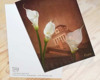 3 Postcards 4x6" format printed in 2022 thick glossy cardboard, photos of the Saint-Hyacinthe. Calla lily flowers Building architecture.