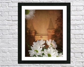 Photo montage of daisies and architecture, Decorative photo office, living room or restaurant, Archive paper print fine art photography