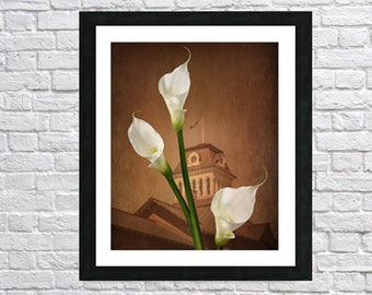 Photo montage of Callas lilies and architecture, Decorative photo office, living room, Archive paper print fine art photography