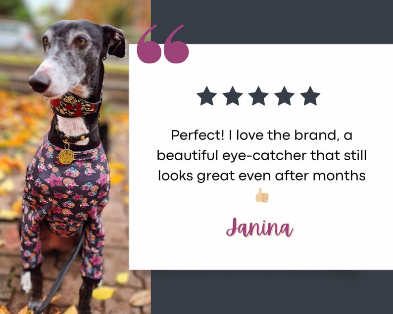 May include: A greyhound dog wearing a floral print jumpsuit and a decorative collar with a gold tag. The dog is on a leash. Text on the right says "Perfect! I love the brand, a beautiful eye-catcher that still looks great even after months" and "Janina".