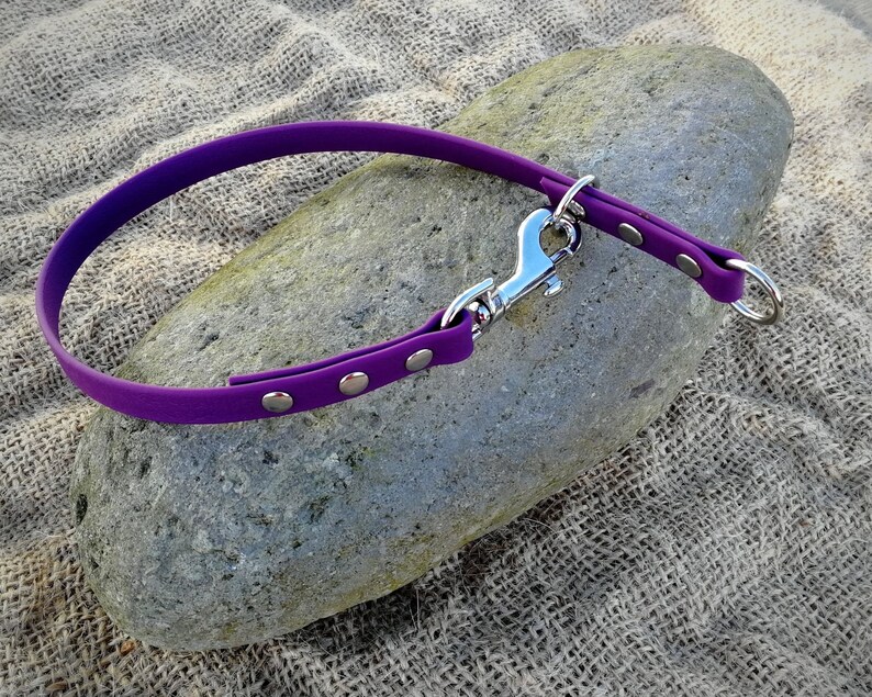 Slip Dog Collar House Dog Collar 2 in 1 Collar Etsy