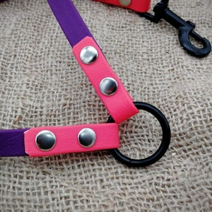 May include: A close-up of a purple and pink pet harness. The harness features a purple strap with pink accents and silver rivets. A black metal ring and clasp are also visible. The background is a textured, tan fabric.