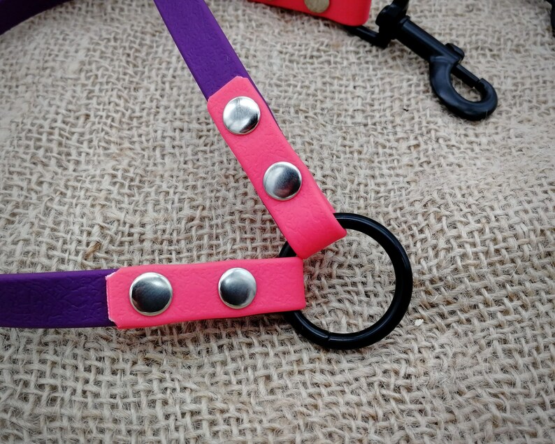 May include: A close-up of a purple and pink pet harness. The harness features a purple strap with pink accents and silver rivets. A black metal ring and clasp are also visible. The background is a textured, tan fabric.