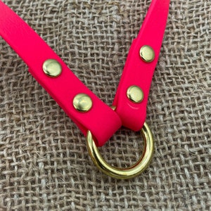 May include: A bright pink dog collar with gold metal hardware and a gold metal D-ring.