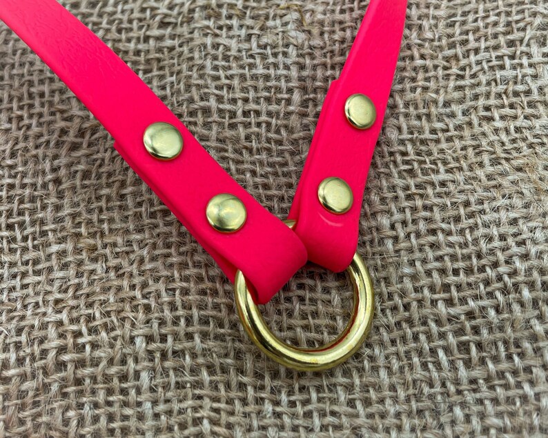 May include: A bright pink dog collar with gold metal hardware and a gold metal D-ring.