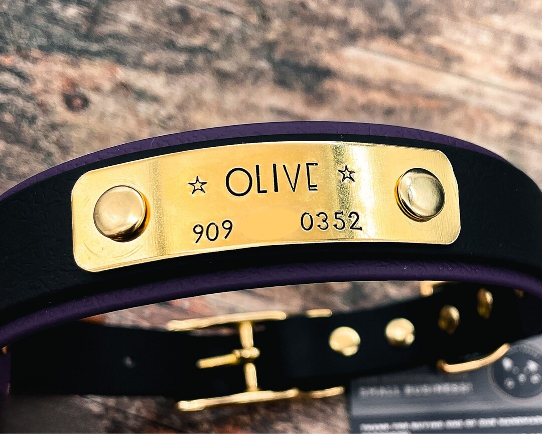 Silent Dog Tag to Rivet on Dog Collar Nameplate Dog Tag Quiet Etsy UK