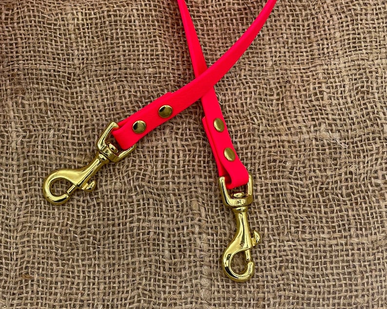 May include: A bright pink dog lead with gold metal clasps. The lead has a smooth, rubbery texture and is accented with gold dots.