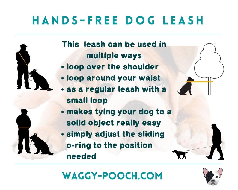 Hands-Free Dog Leash, waterproof dog leash, lightweight convertable dog lead handmade, adjustable dog leash image 8