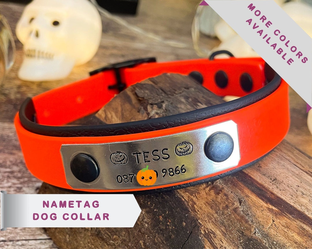 Dog Collar Personalized With Nameplate, Halloween Dog Collar