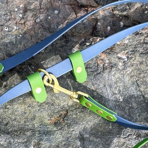 May include: A blue and green leather dog lead with gold hardware. The lead has a clip on one end and a loop on the other.