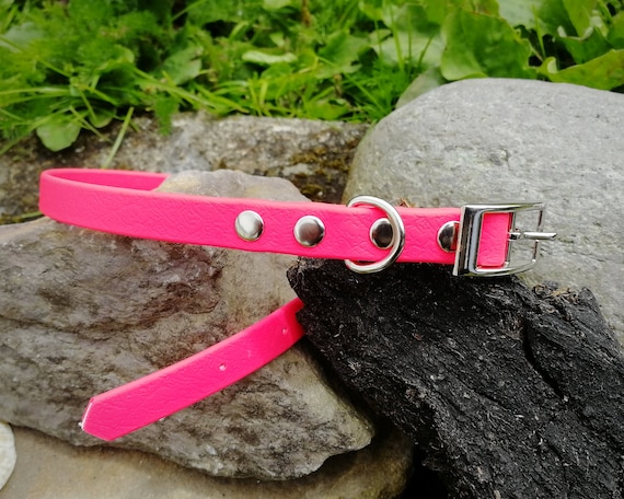 Etsy small dog collars discount