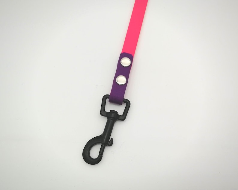 May include: A dog lead with a bright pink strap, connected to a purple section with silver rivets. It has a black metal clasp. The design is simple and modern, suitable for pet owners.