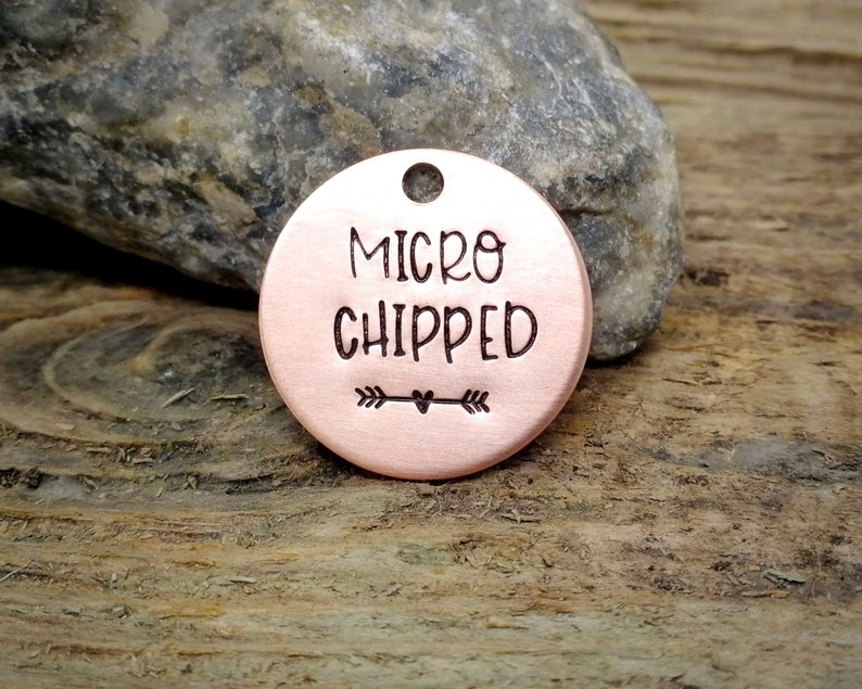 Microchipped dog tag, small pet id tag, handstamped image 6