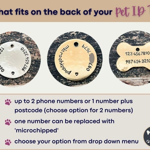 May include: Image shows three pet ID tags: a silver circle, a gold circle with "microchipped", and a bone-shaped tag. Each tag displays example phone numbers. Text reads "What fits on the back of your Pet ID Tag".