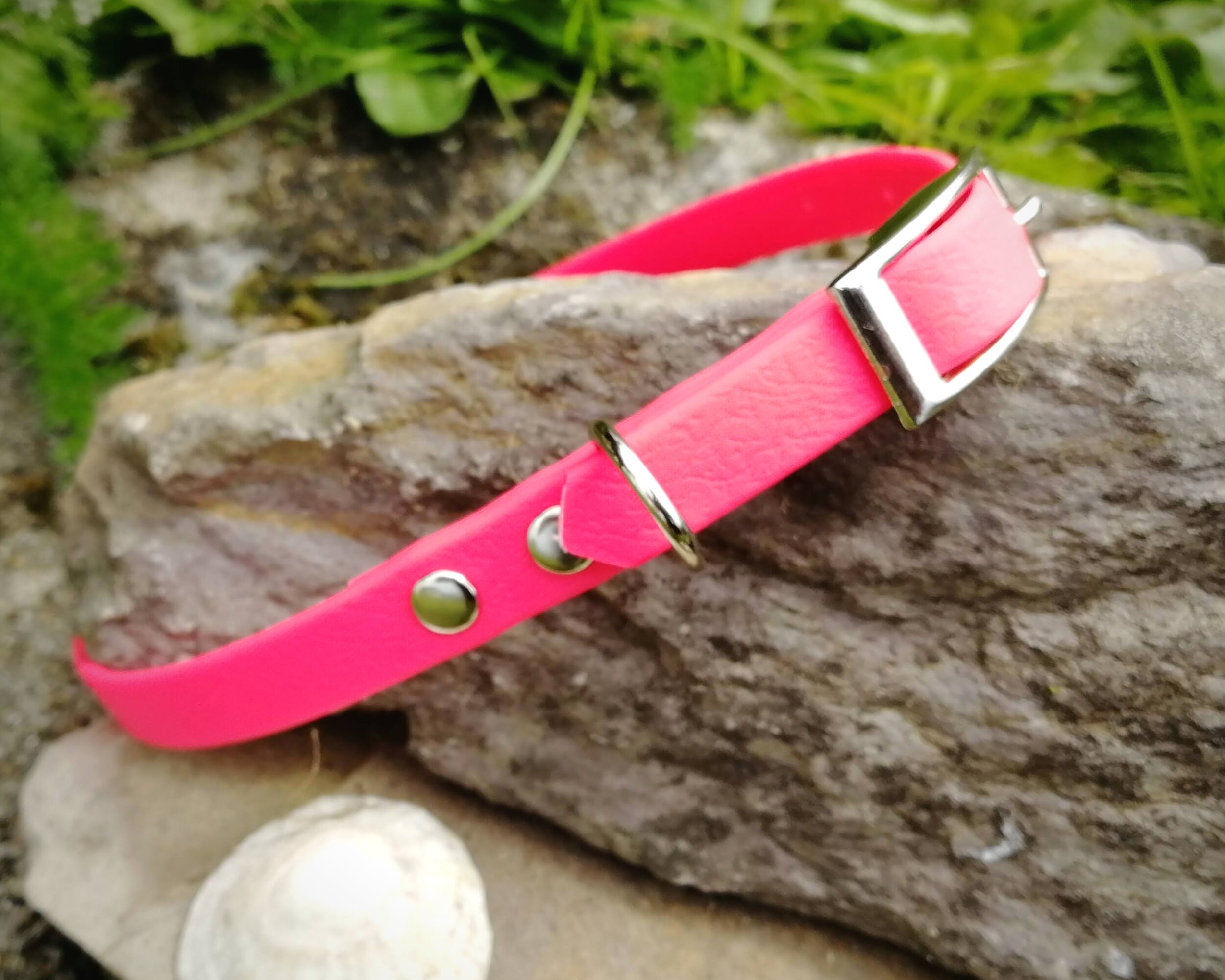 Custom Dog Collar for Small Dogs Extra Small Dog Collar Etsy UK