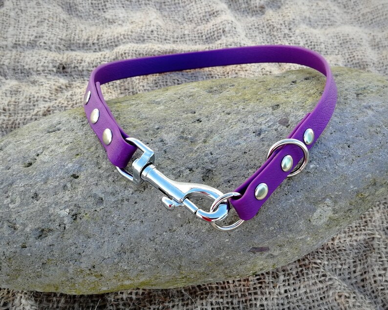 Slip Dog Collar House Dog Collar 2 in 1 Collar Etsy