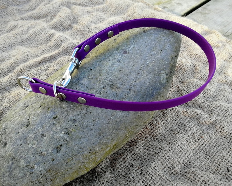 Slip Dog Collar House Dog Collar 2 in 1 Collar Etsy