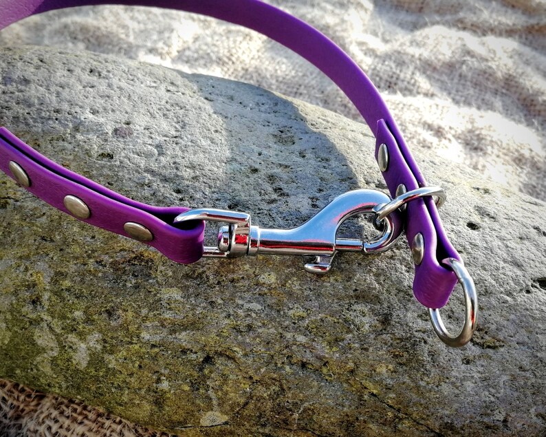 Slip Dog Collar House Dog Collar 2 in 1 Collar Etsy