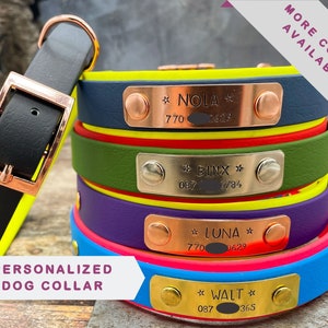 Etsy custom cheap dog collars