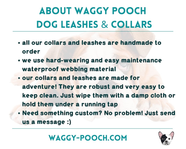 May include: About Waggy Pooch Dog Leashes & Collars.  Handmade to order, these leashes and collars are made from waterproof webbing material.  They are easy to clean and can be customized.