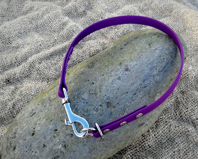 Slip Dog Collar House Dog Collar 2 in 1 Collar Etsy