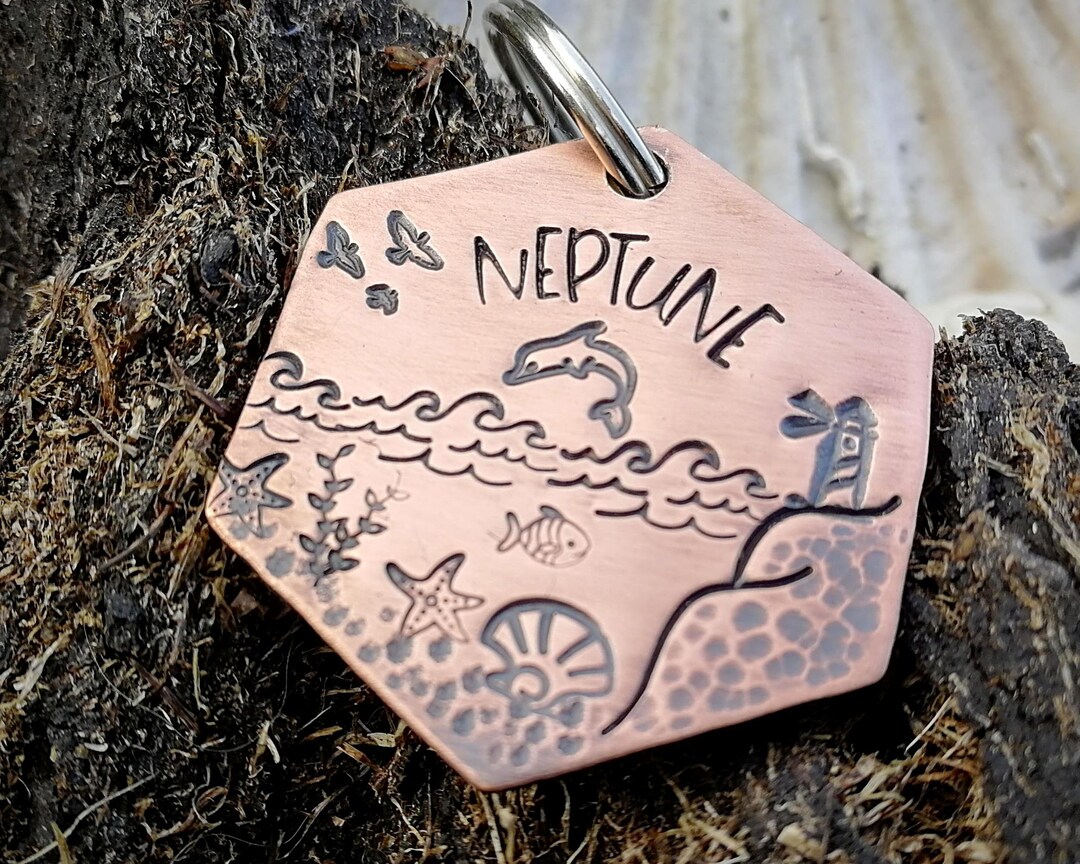 Nautical Dog Tag Hexagon Dog Id Tag Ocean Pet Tag With Etsy UK